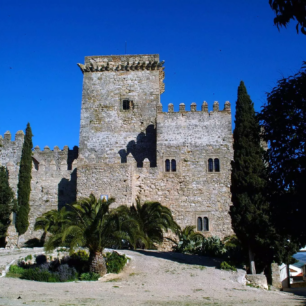 Castillo Ducal de Espejo