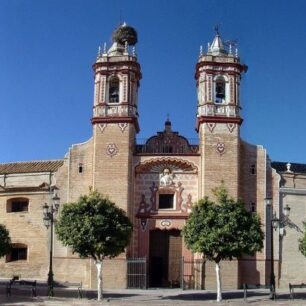Palma del río