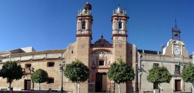 Palma del río