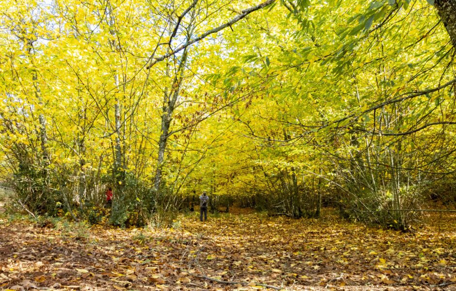 senderismo en cordoba