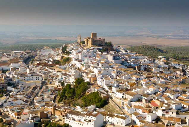 Visita guiada Castillo Ducal de Espejo