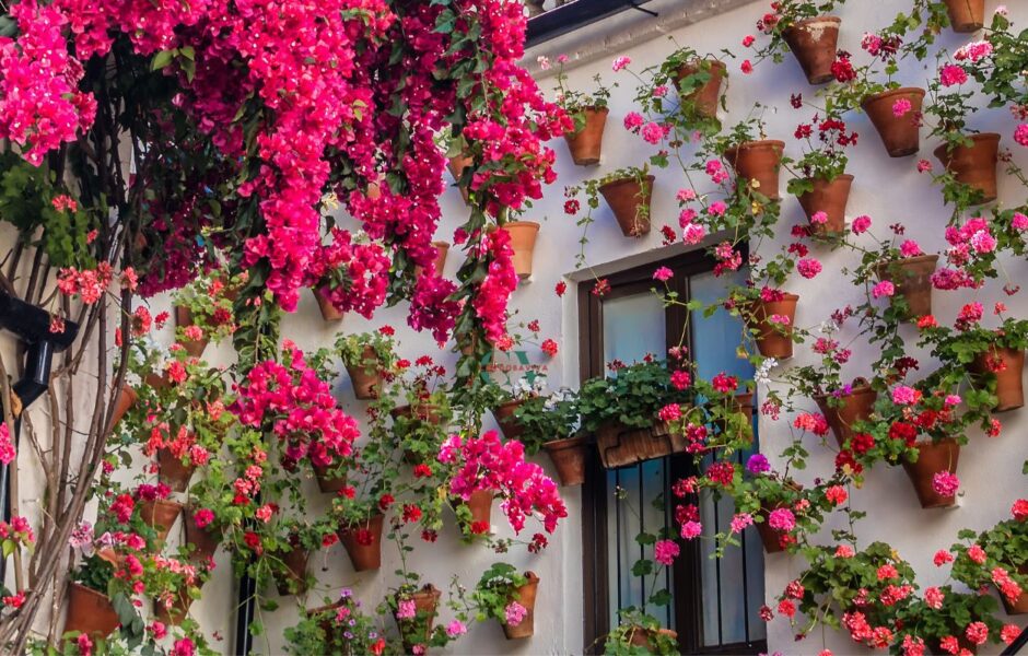 patios de cordoba