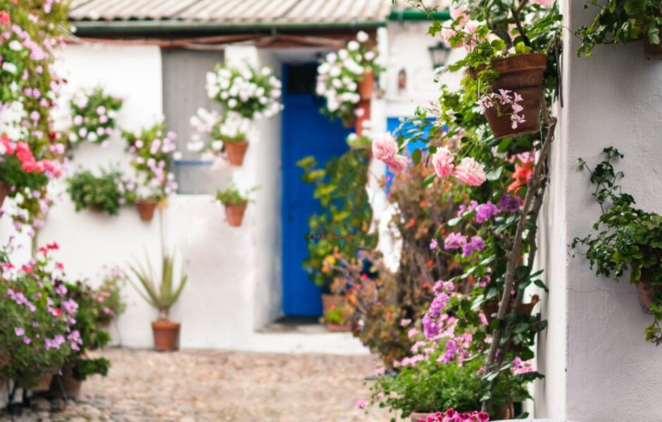 patios de cordoba
