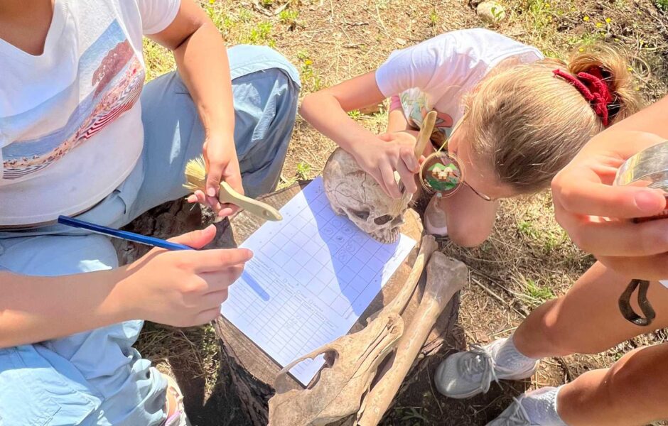 Parque de la prehistoria de posadas en cordoba