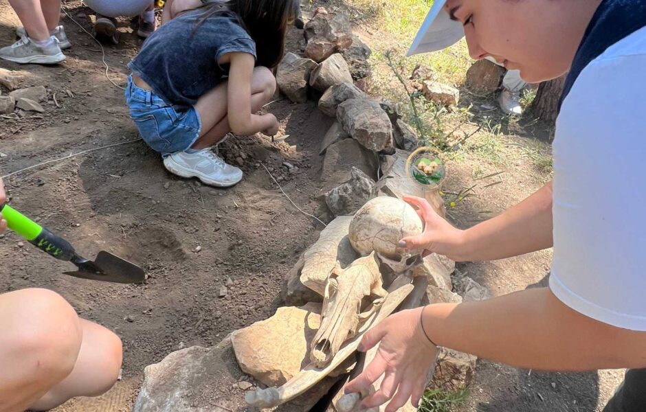 Parque de la prehistoria de posadas en cordoba