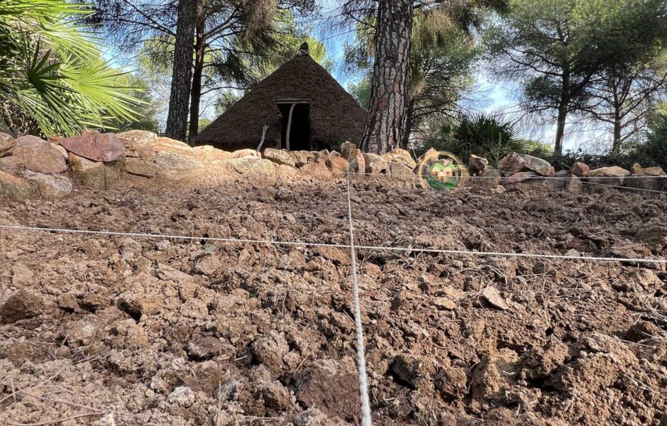 Parque de la prehistoria de posadas en cordoba