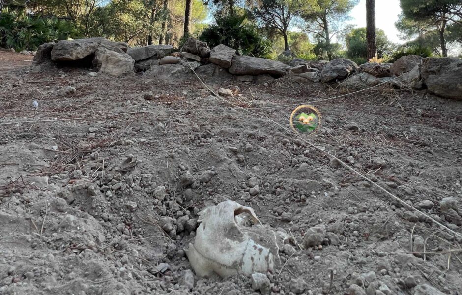 Parque de la prehistoria de posadas en cordoba