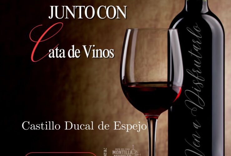 cata de vinos