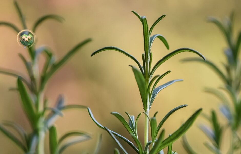 Parque de la prehistoria de posadas