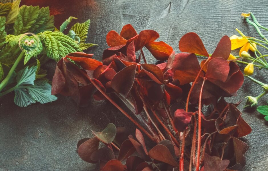 Parque de la prehistoria de posadas