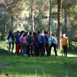 Visitas para Grupos en Córdoba