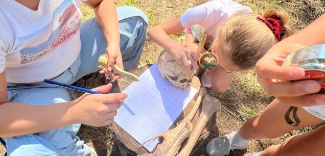 Actividades Arqueológicas Escolares