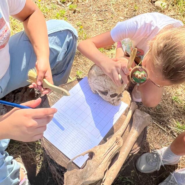 Actividades Arqueológicas Escolares