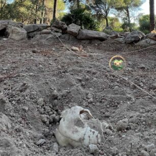 Arqueologia