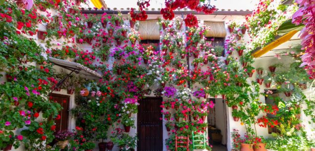 Patios de Córdoba