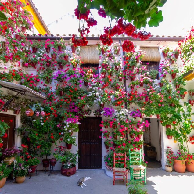 Patios de Córdoba