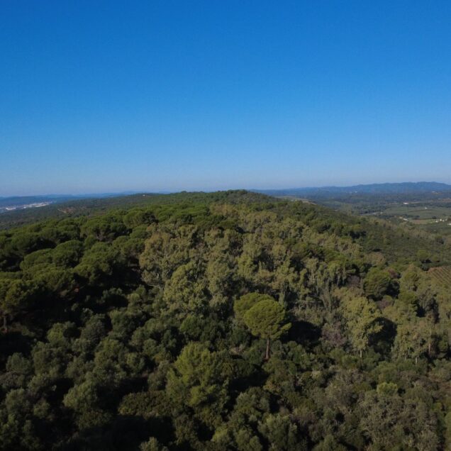 Sierrezuela de Posadas