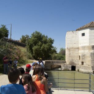Sotos de la Albolafia