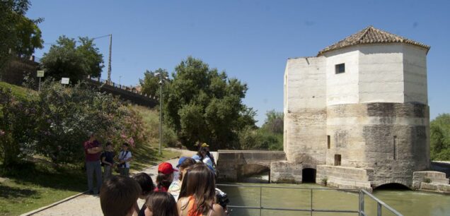 Sotos de la Albolafia
