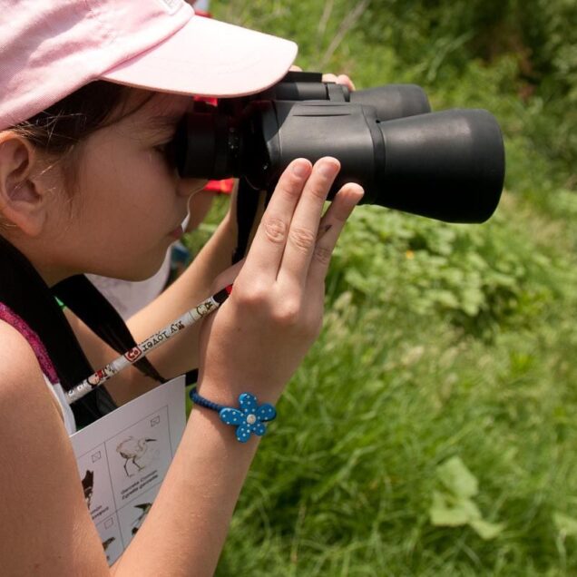 Birding en Córdoba