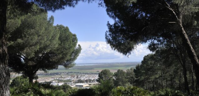 Valle del Guadalquivir