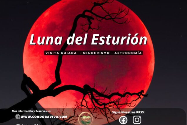 Senderismo Superluna del Esturión en el parque de la prehistoria