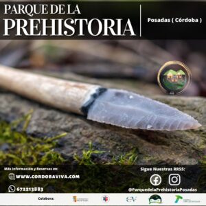 La Busqueda del Silex Perdido