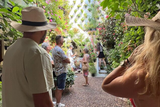 Visita Libre Patios de Córdoba todo el año