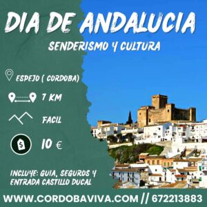 Castillo Ducal el Dia de Andalucia