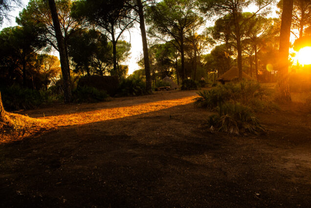 Aventura familiar en el Parque de la Prehistoria de Posadas