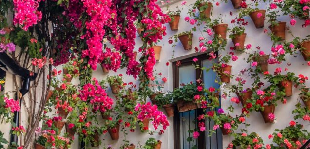 Concurso de Patios en Córdoba