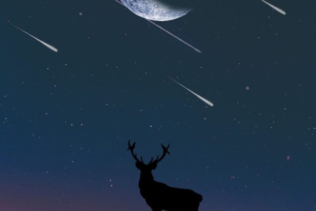 Visita Guiada Nocturna del Parque de la Prehistoria y Perseidas