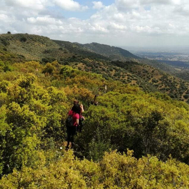 Sierra del Córdoba