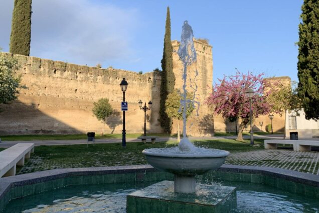 palma del rio cordoba