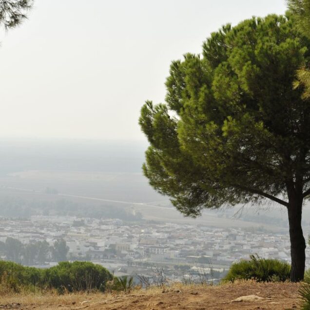 Paisajes Cordobeses