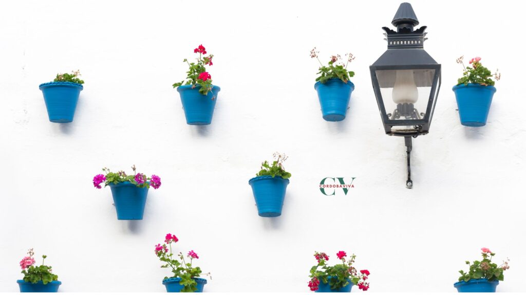 patios de cordoba 