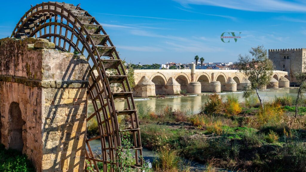 sotos de la albolafia 