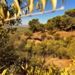 Abrigo montañoso sierrezuela