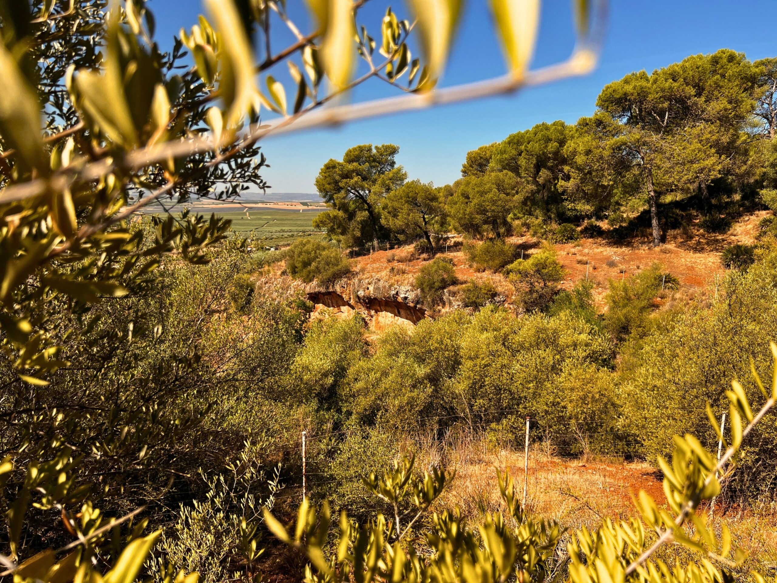 Abrigo montañoso sierrezuela