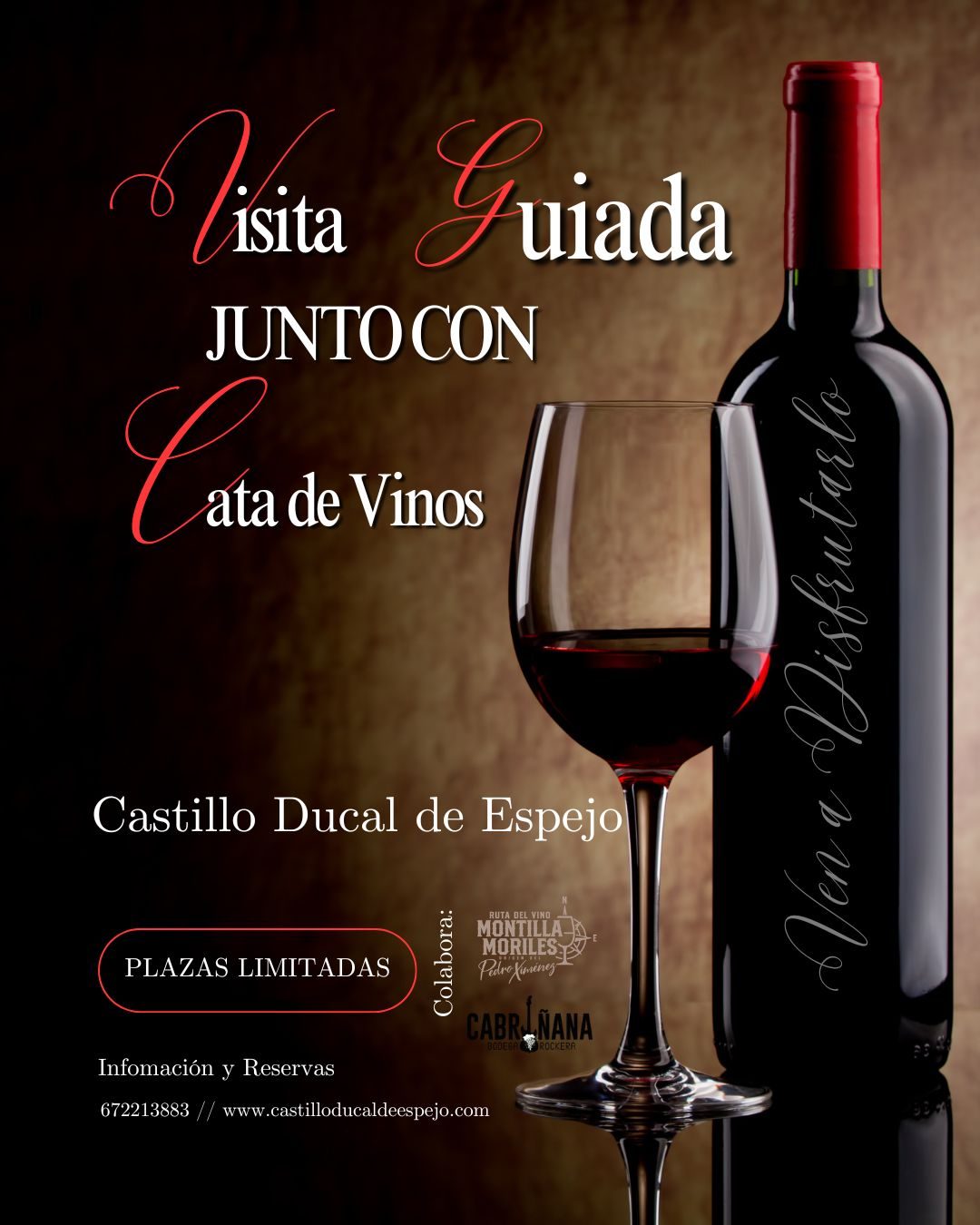 cata de vinos